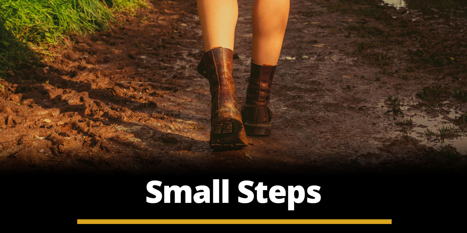 Small Steps