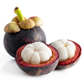 Mangosteen