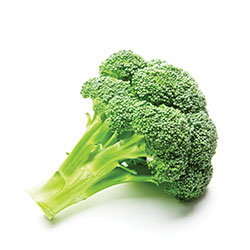 Broccoli