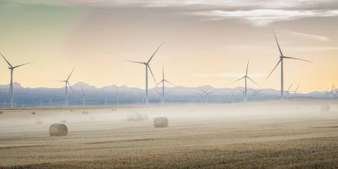 windmills in the distance behind a field of wheat and hay