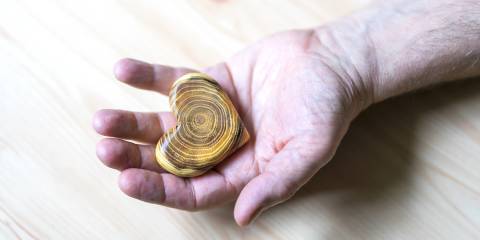 an old man offering a heart carved out of wood