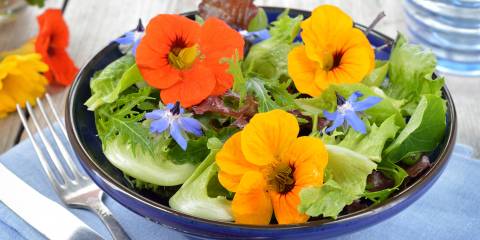 a bowl of salad topped with nasturtiums and borage