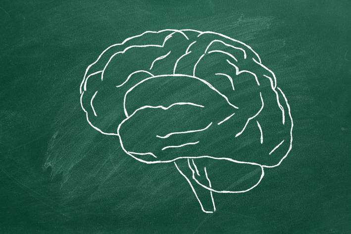 Brain Care 101 a drawing of a brain on a chalkboard