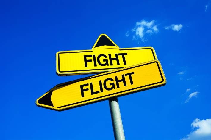 Your Adrenal Glands two roadsigns indicating a choice between fight or flight
