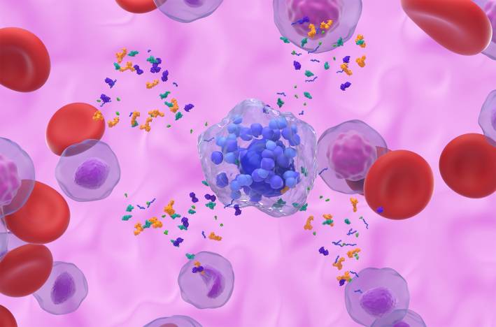 Mast Cell Activation Syndrome a 3d illustration of activated mast cells releasing granules and a histamine reaction