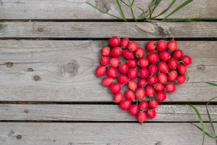 Take Time for Your Ticker: Heart Healthy Tips Red heart of hawthorn berries on a wooden background.