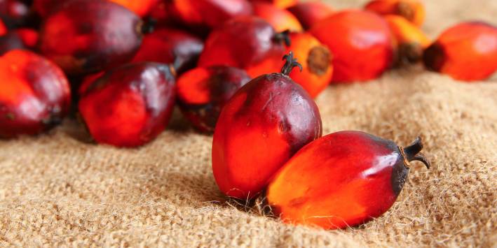 Red Palm Oil