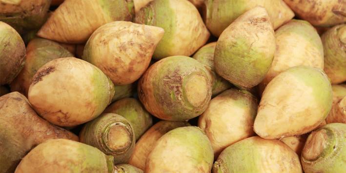 Six Plant-Based Foods You Should Try Today