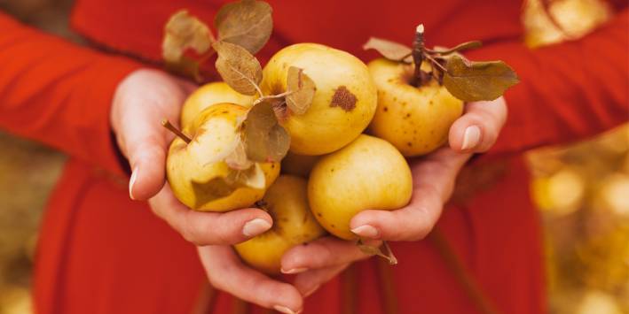 Why You Should Eat Apples Why You Should Eat Apples