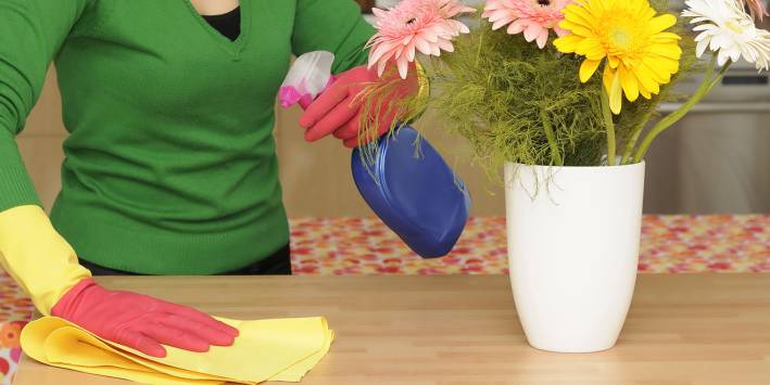 Natural Spring Cleaning a woman wiping down a table with all-natural cleaning supplies
