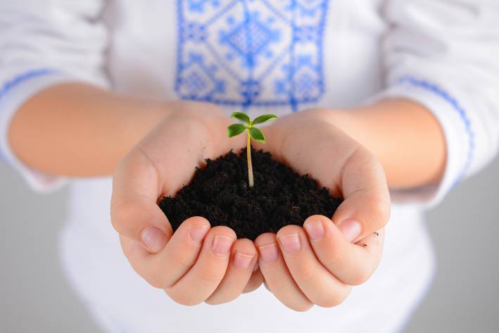 7 Ways to Save the Planet A little girl holding soil with a plant sprouting