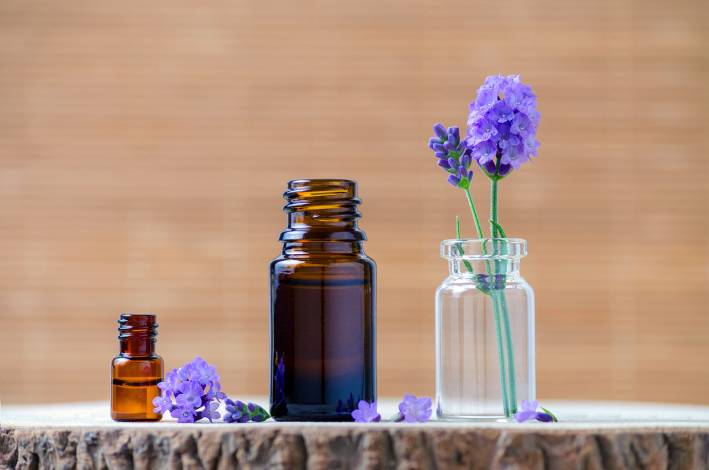 Benefits of Essential Oils & Aromatherapy Lavender essential oil bottles and fresh flowers for aromatherapy.
