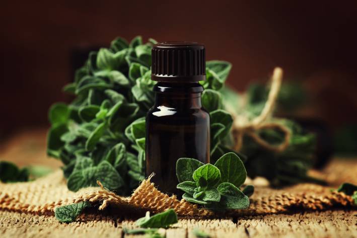 5 Reasons You Need Oregano a bottle of oregano oil extract surrounded by the fresh herb