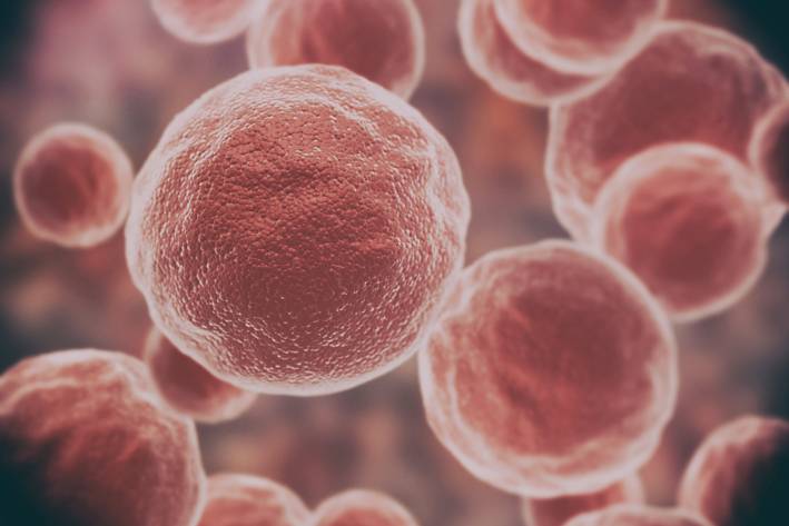 The ABCs of Antioxidants damaged and mutated cells