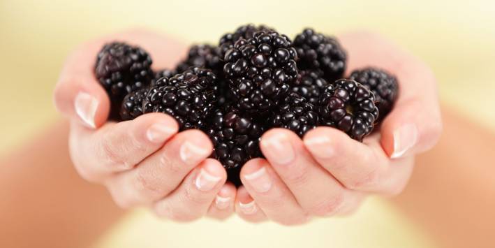 9 Superfoods to Protect and Prolong Health Blackberries