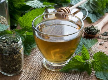 Fresh and dried nettles with a cup of nettle tea.